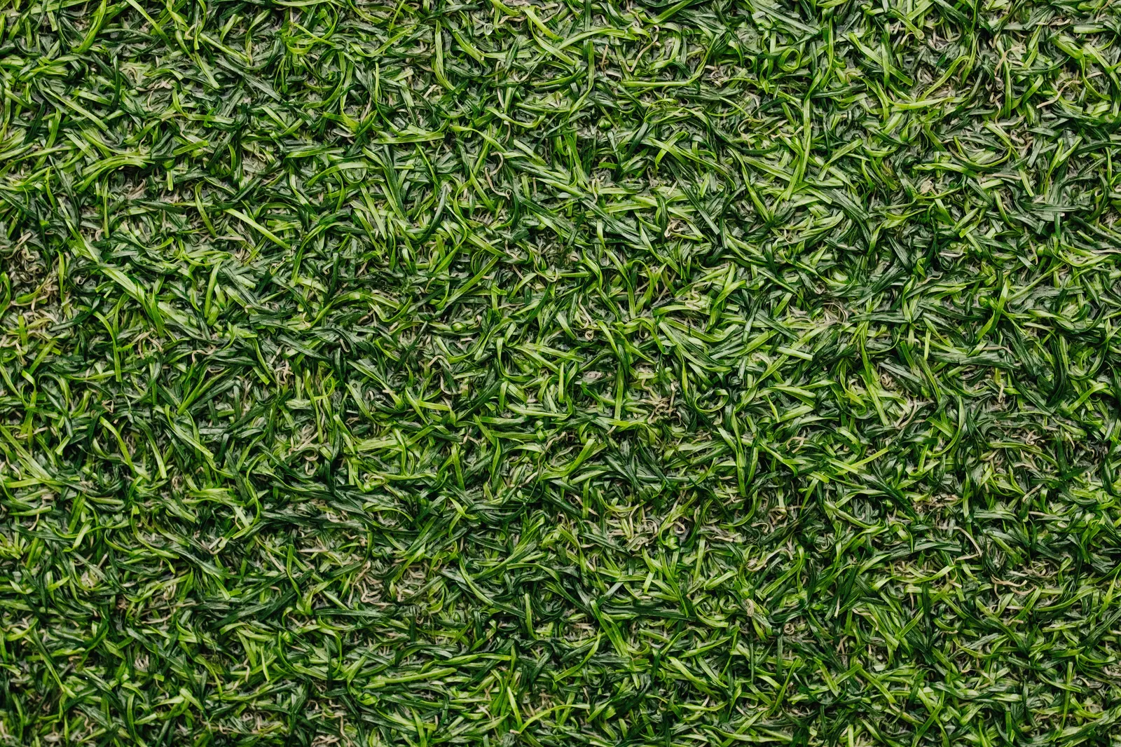Close-up of artificial turf fibers and thatch