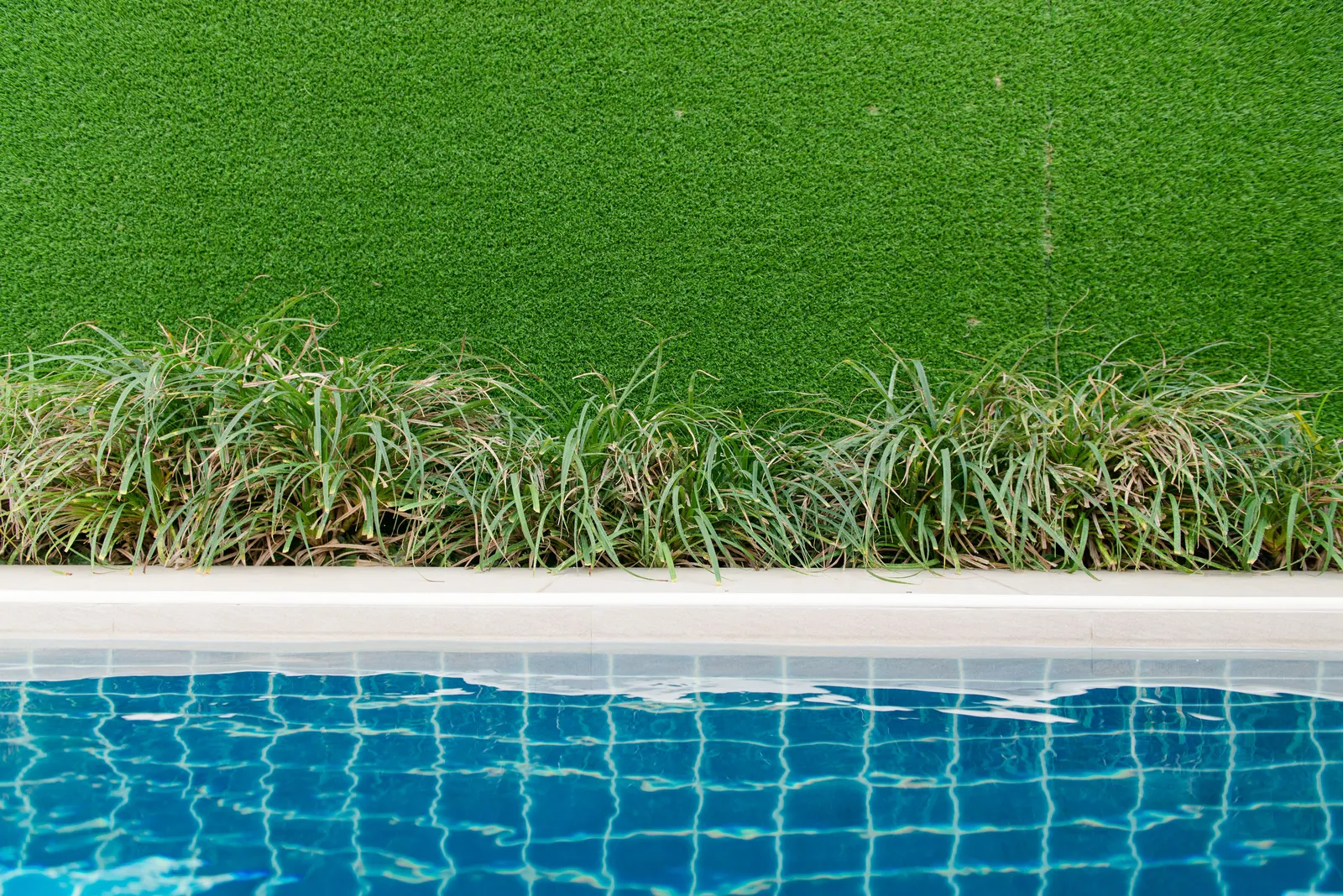 Artificial turf meeting a planting bed beside a tiled pool
